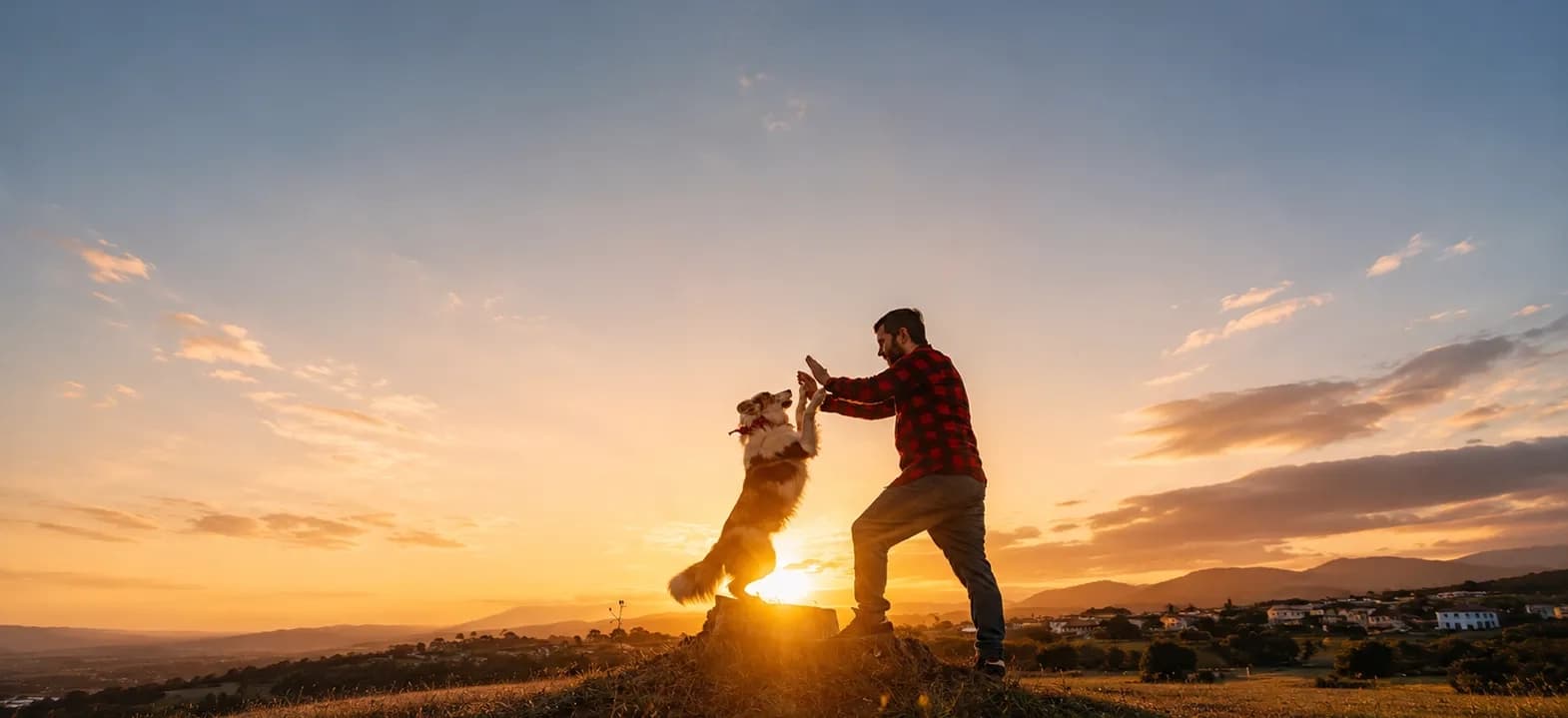 A joyful high-five between a person and a dog at golden hour