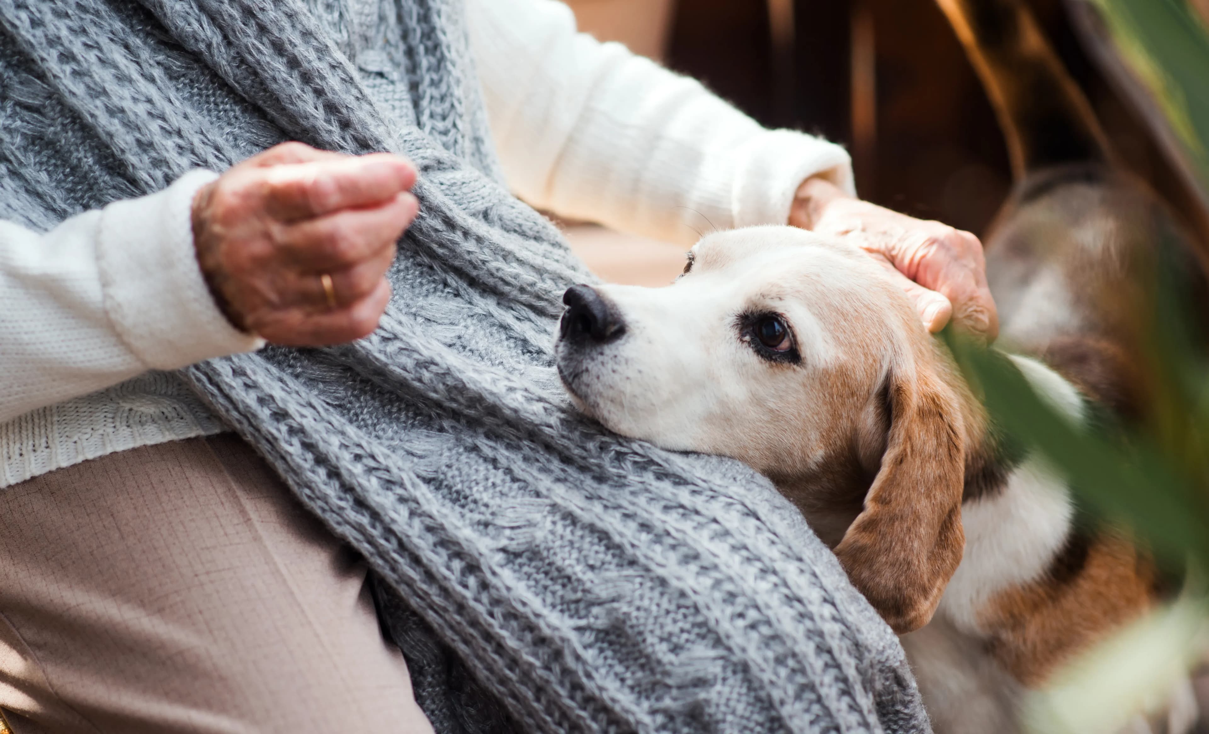 A woman sharing a quiet moment with her dog outdoors