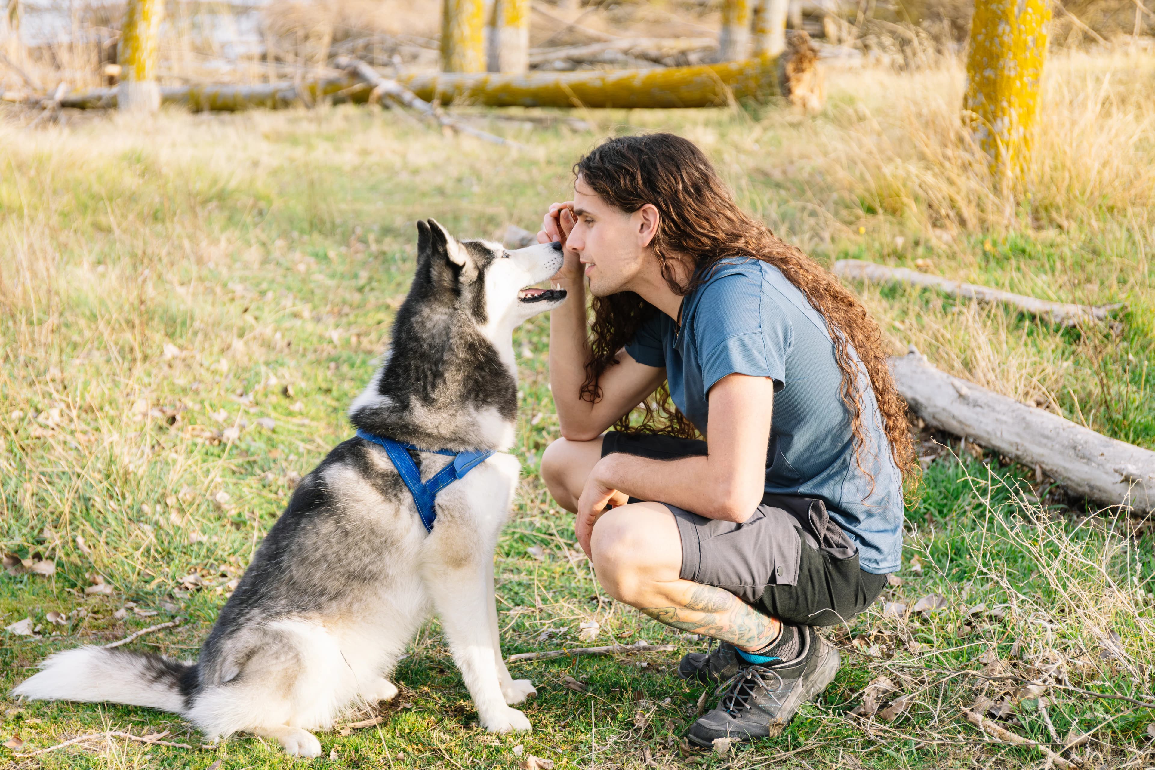 Husky sharing a close moment with its person during an outdoor pet photography session