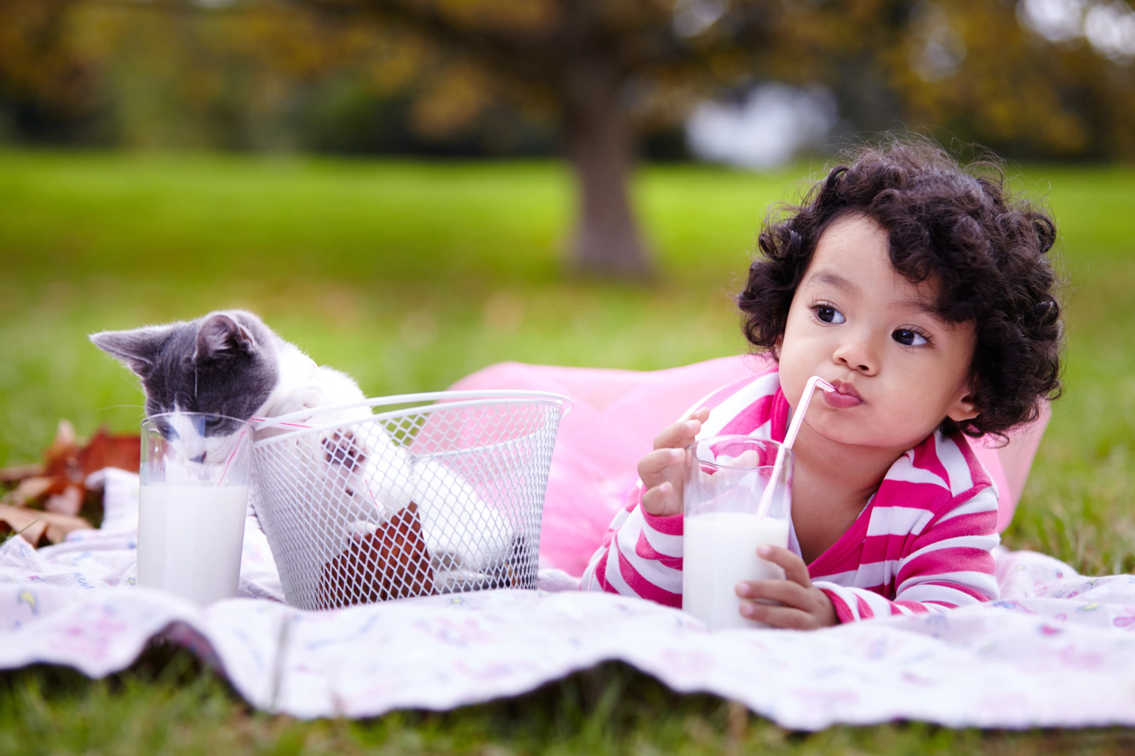 Child exploring outdoors with a young kitten